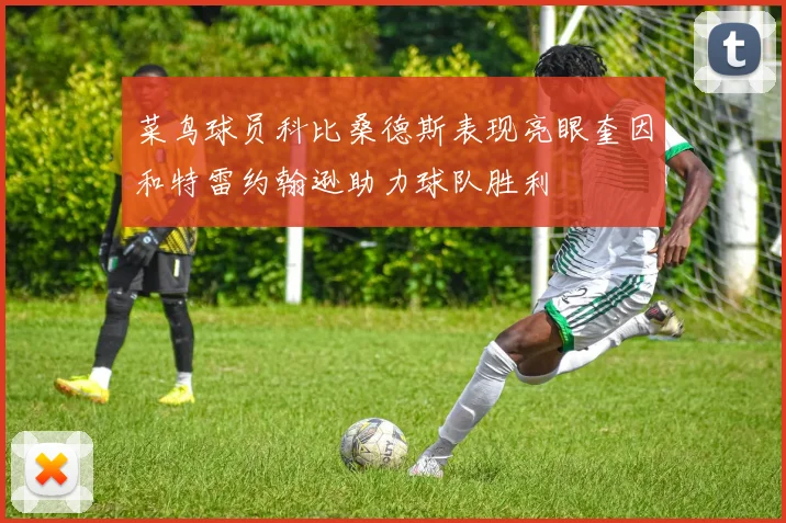 菜鸟球员科比桑德斯表现亮眼奎因和特雷约翰逊助力球队胜利